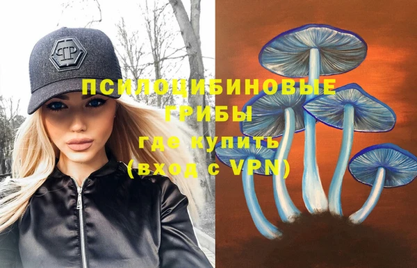spice Переславль-Залесский