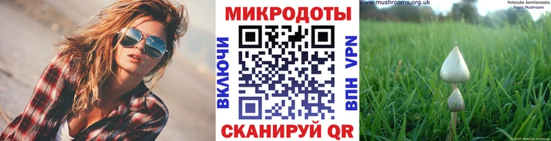 Псилоцибиновые грибы Psilocybine cubensis  Купить  Славянск-на-Кубани 